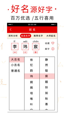 起名取名字大师截图4