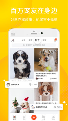 犬易截图3