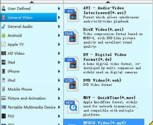 Bigasoft Video Downloader Pro v3.8.16.5549 中文注册版