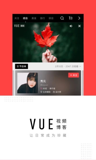 vue截图1