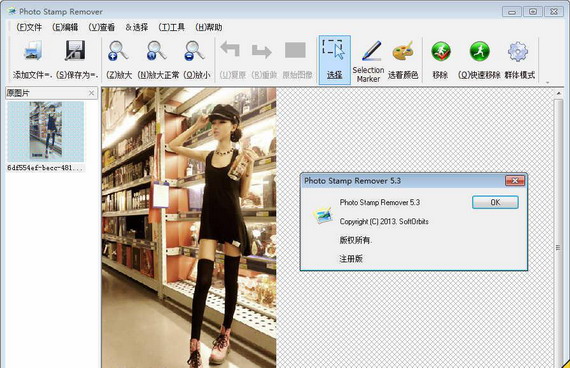softorbitsphotostampremoverportable截图1