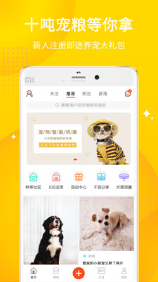 犬易截图2