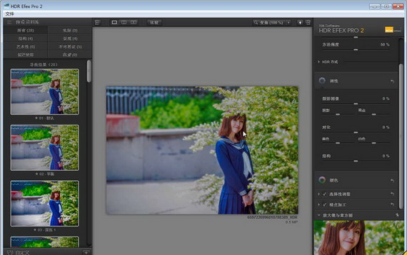 NikSoftwareHDREfexPro截图1