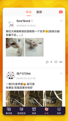 猫语翻译器截图3