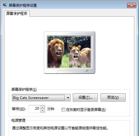 Big Cats Screensaver v5.0 注册版 