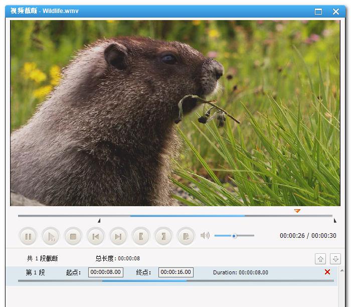 Any Video Converter Ultimate Portable v5.7.8 绿色中文注册版