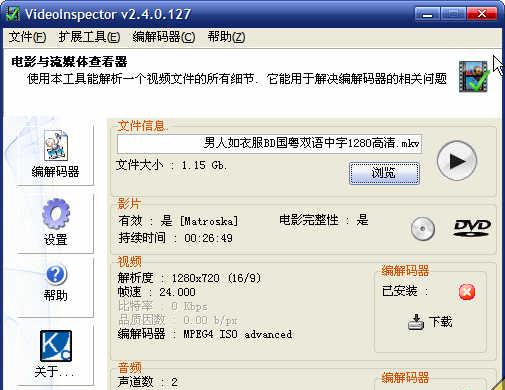 VideoInspectorPortablev2.80.132绿色中文免费版截图1