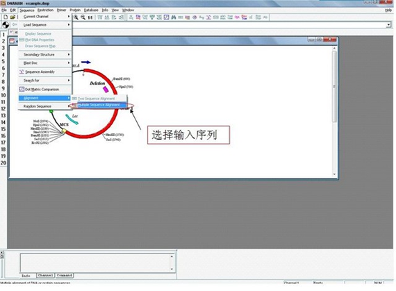 dnaman软件截图1