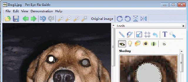 PetEyeFixGuide截图1