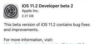 ios11.2beta2截图1