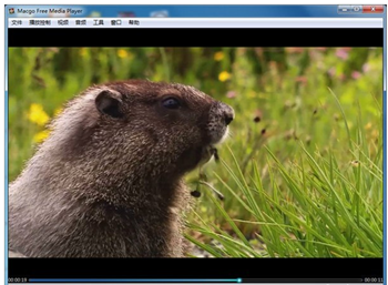 Macgo Free Media Player