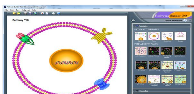 Pathway Builder Tool(信号通路作图软件)
