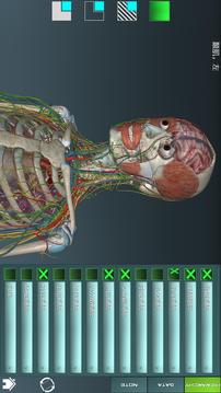 人体解剖学图谱截图4