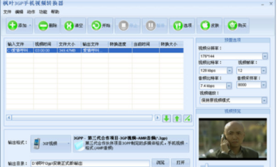 枫叶3GP手机视频转换器